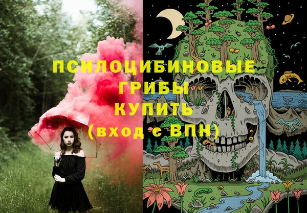 таблы Козловка
