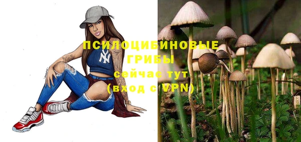 дурь Кодинск