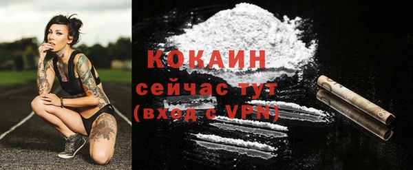 таблы Козловка
