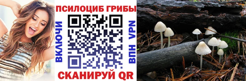 Псилоцибиновые грибы MAGIC MUSHROOMS  Михайловка 