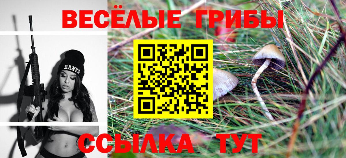 Михайловка  Псилоцибиновые грибы Cubensis  Вход с VPN 