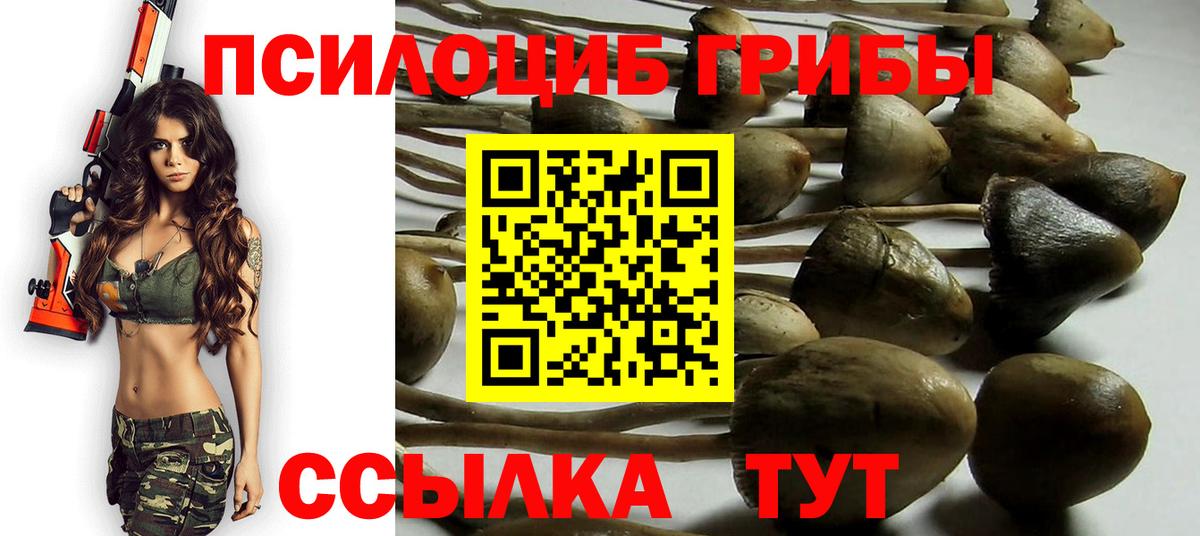 Псилоцибиновые грибы GOLDEN TEACHER Михайловка