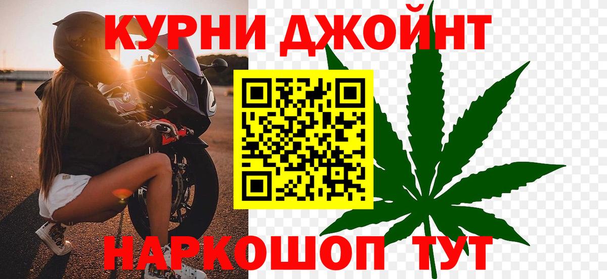 Каннабис гибрид Михайловка